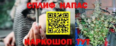 сатива Нарткала