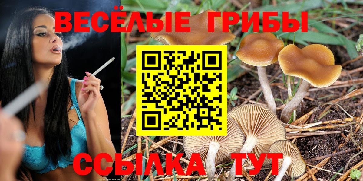 Псилоцибиновые грибы GOLDEN TEACHER Соль-Илецк